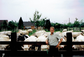 Jacques bij zijn koeien